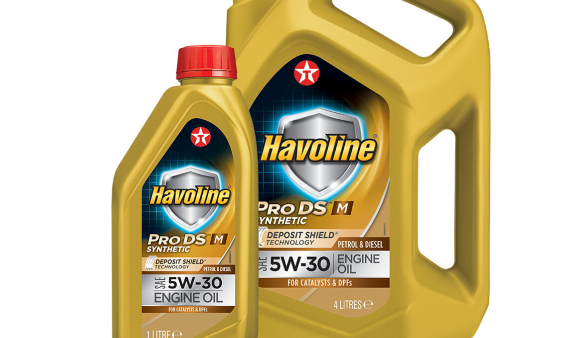 Havoline ProDS M 5W-30 fles